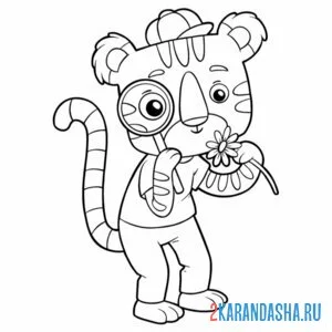 Раскраска тигр следователь