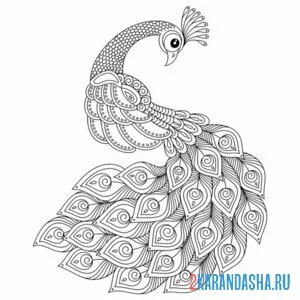 Раскраска павлин антистресс