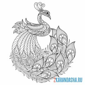 Раскраска антистресс птица павлин