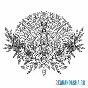 Раскраска антистресс сложный павлин