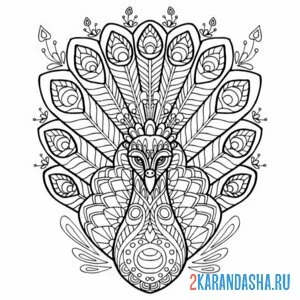 Раскраска павлин сидит