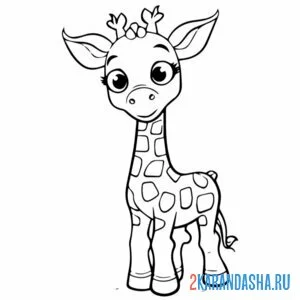 Раскраска жираф милейший