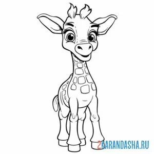 Раскраска малыш-жирафик