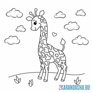 Раскраска жираф на поляне