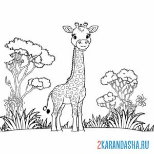 Раскраска жираф и деревья саванны