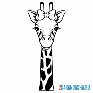 Раскраска голова жирафа с бантом