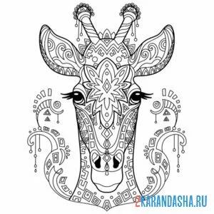 Раскраска голова жирафа антистресс