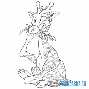 Раскраска жираф йога