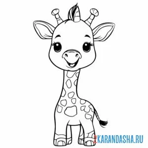 Раскраска малышка жираф