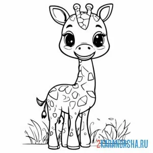 Раскраска иллюстрация жираф