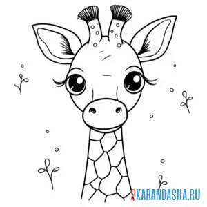 Раскраска красивая голова жирафа