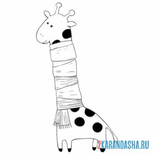 Раскраска жираф с шарфом