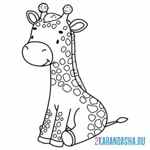 Раскраска жираф мило сидит