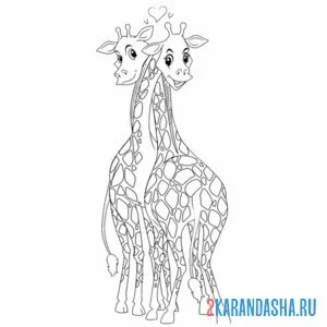 Раскраска влюбленные жирафы