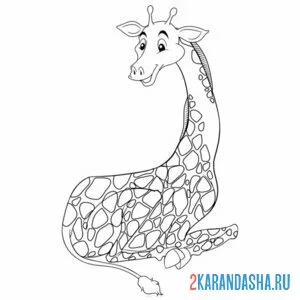 Раскраска жираф лежит