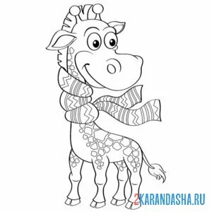 Раскраска жираф в шарфе