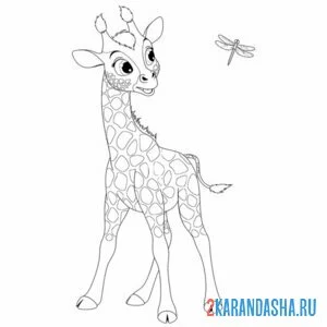 Раскраска жираф и бабочка