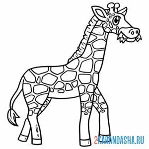Раскраска жираф сбоку