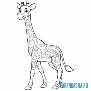 Раскраска симпатичный жираф