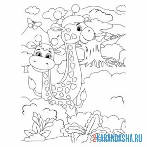 Раскраска два жирафа