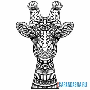 Раскраска арт-антистресс жираф