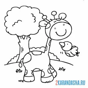 Раскраска жираф с птичкой
