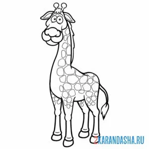 Раскраска мужчина жираф