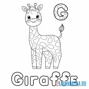Раскраска жираф giraffe