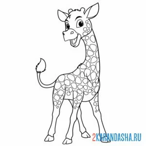 Раскраска очень хороший жираф