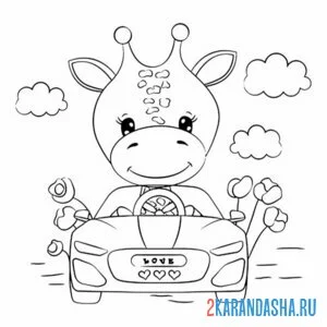 Раскраска жираф на машине