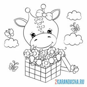Раскраска жираф и коробка с цветами