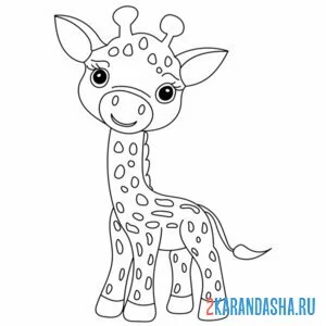 Раскраска миленький жиарф