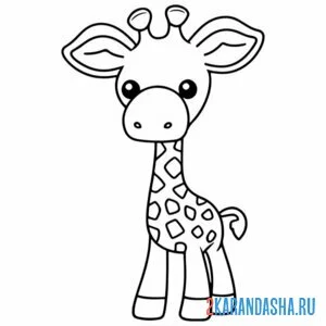 Раскраска жираф с большими ушами