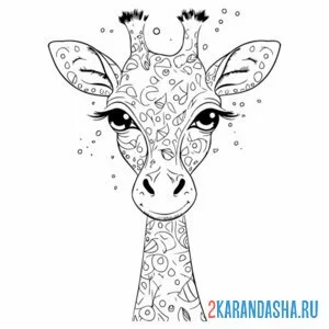 Раскраска красивый жираф голова