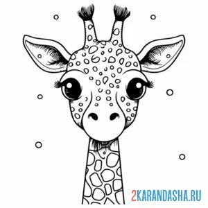Раскраска большая голова жирафа