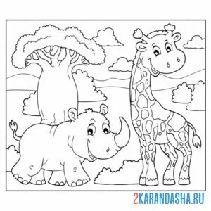 Раскраска носорог и жираф