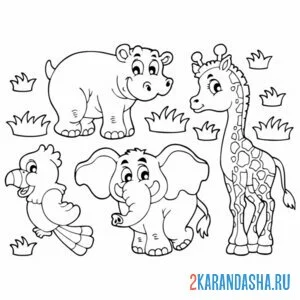 Раскраска попугай, бегемот, слон и жираф