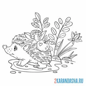 Раскраска ежик нос сердечком