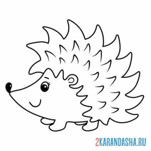 Раскраска ежик простой