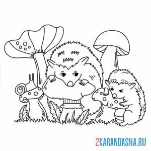Раскраска ежики едят грибы