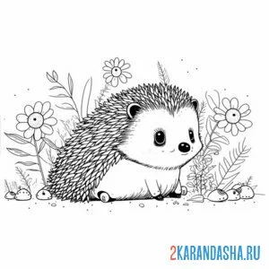 Раскраска ежик спрятался в цветах