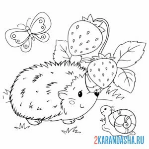 Раскраска ежик и улитка