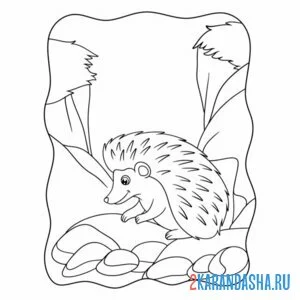 Раскраска ежик что-то нашел