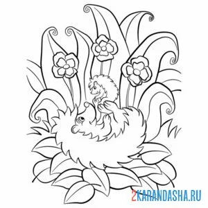 Раскраска ежик мама и малыш ежик