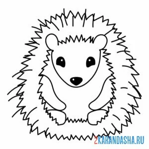 Раскраска ежик сидит