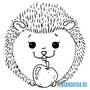 Раскраска ежик улыбка