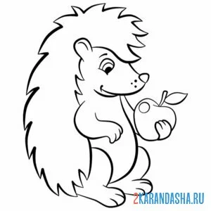 Раскраска ежик ест яблоко