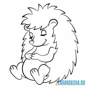 Раскраска ежик спт