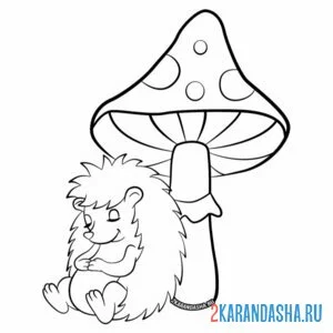 Раскраска ежик уснул под грибом