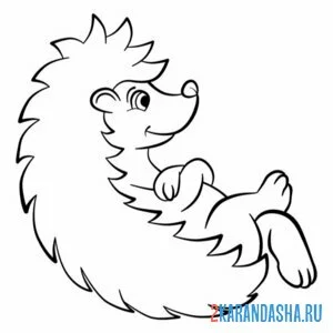 Раскраска деловой ежик